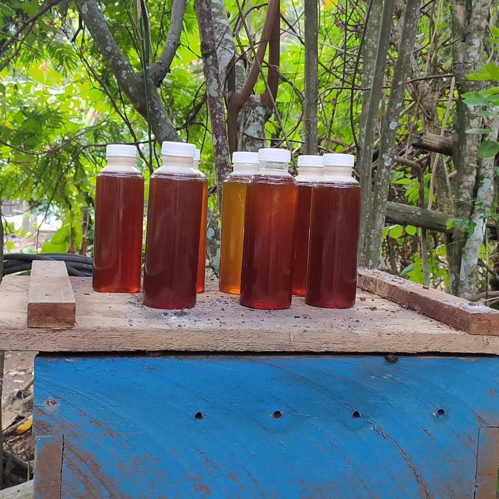Madu Murni Fresh Asli 100% [Pure Raw Honey]